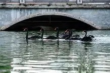 爱游戏入口 -鞧#}R┦佲搰衔?3L迎?鄕(tczb系列)