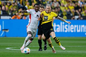 爱游戏官方入口 -多特蒙德胸前广告